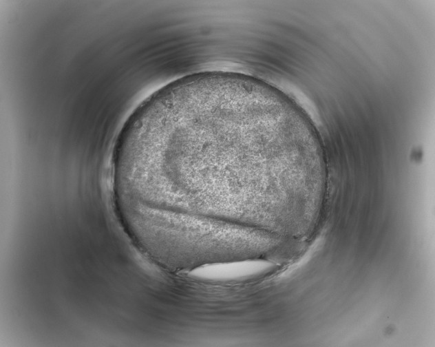 X0000103161125200809192047
