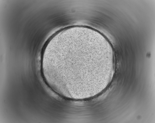 X0000103161126200809192047