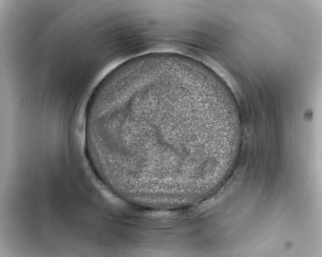 X0000103161127200809192047