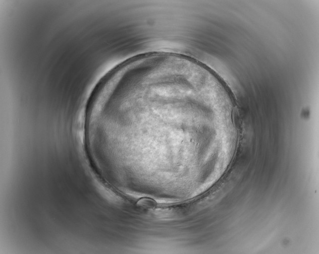 X0000103161128200809192047