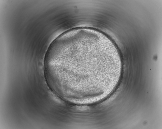 X0000103161129200809192047