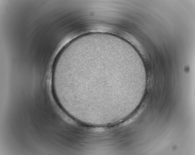 X0000103161130200809192047
