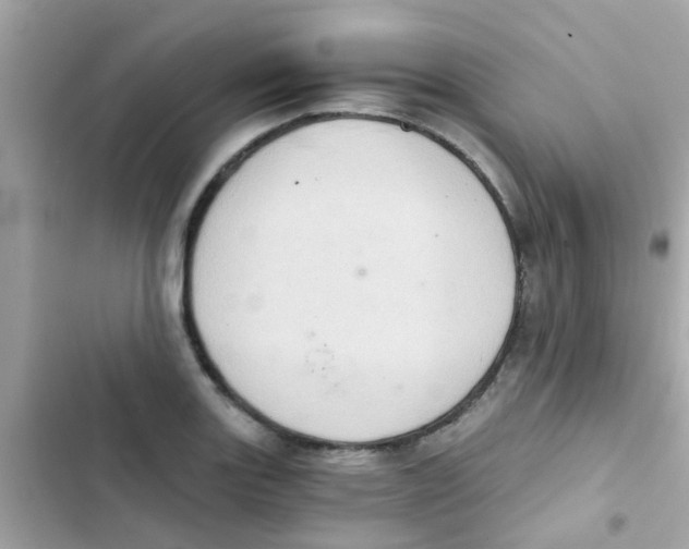 X0000103161131200809192047