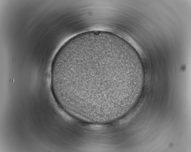 X0000103161132200809192047