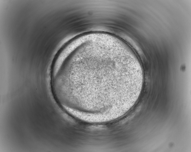 X0000103161133200809192047
