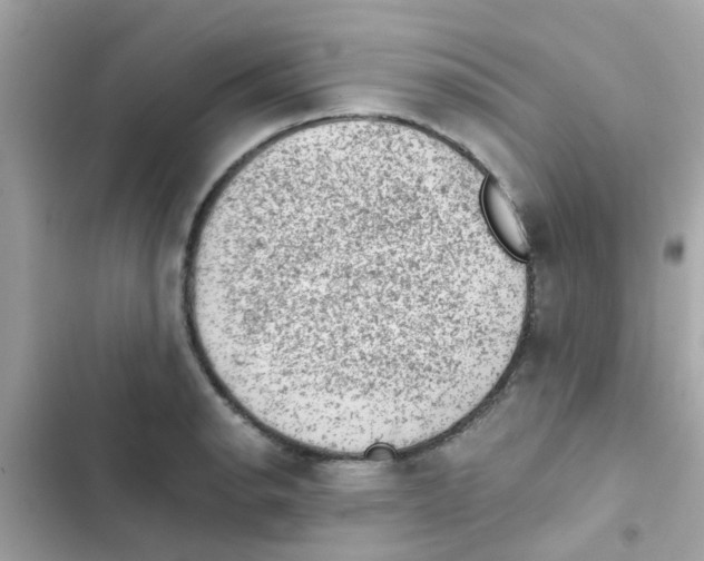 X0000103161134200809192047