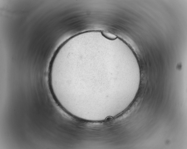 X0000103161135200809192047