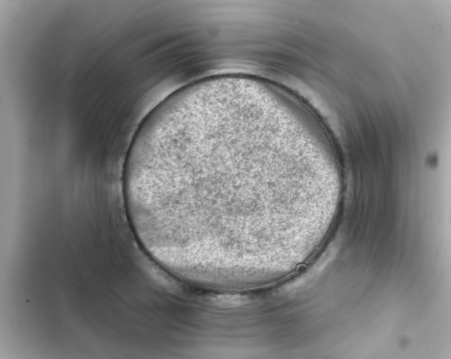 X0000103161137200809192047