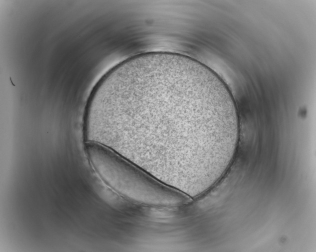 X0000103161138200809192047
