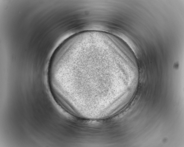 X0000103161139200809192047
