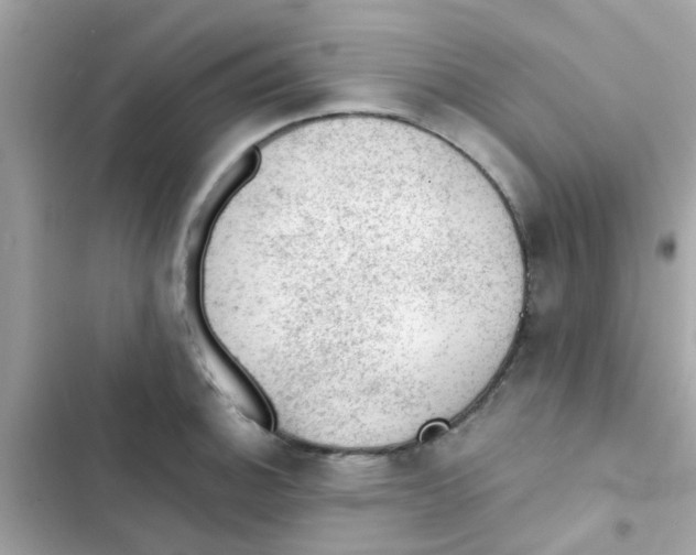 X0000103161140200809192047