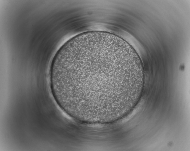 X0000103161141200809192047
