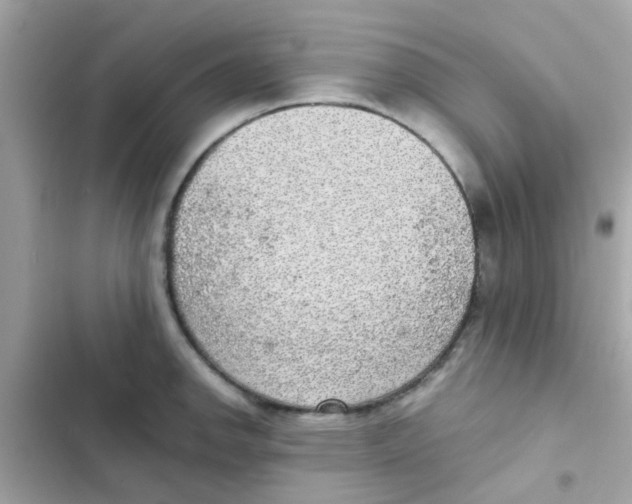 X0000103161142200809192047