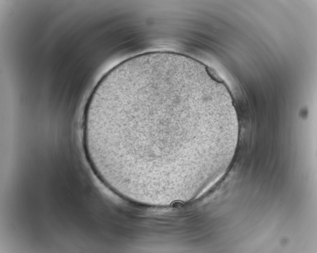 X0000103161143200809192047