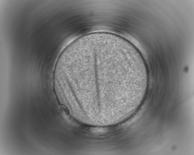 X0000103161145200809192047