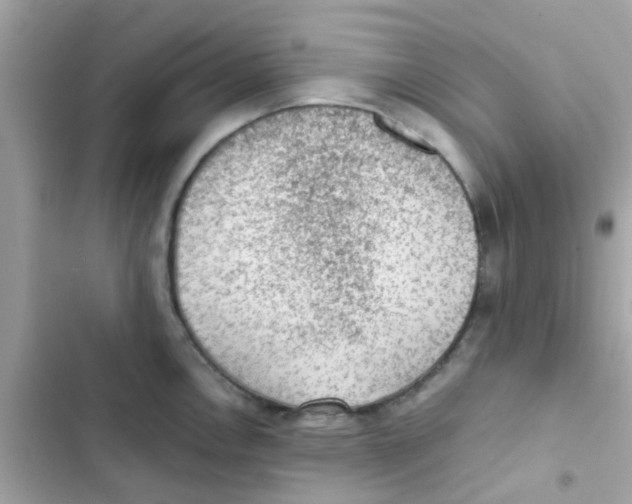 X0000103161146200809192047