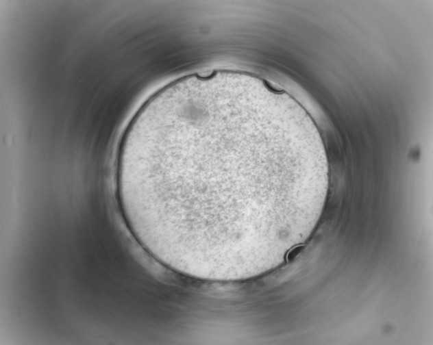 X0000103161148200809192047