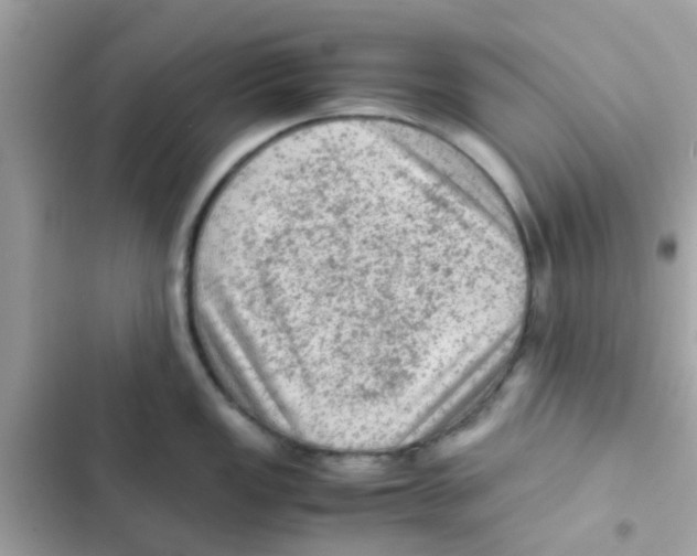 X0000103161149200809192047