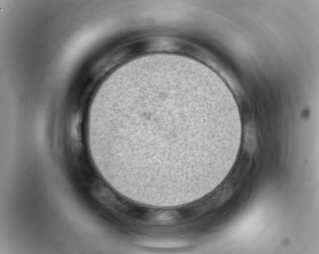 X0000103161150200809192047