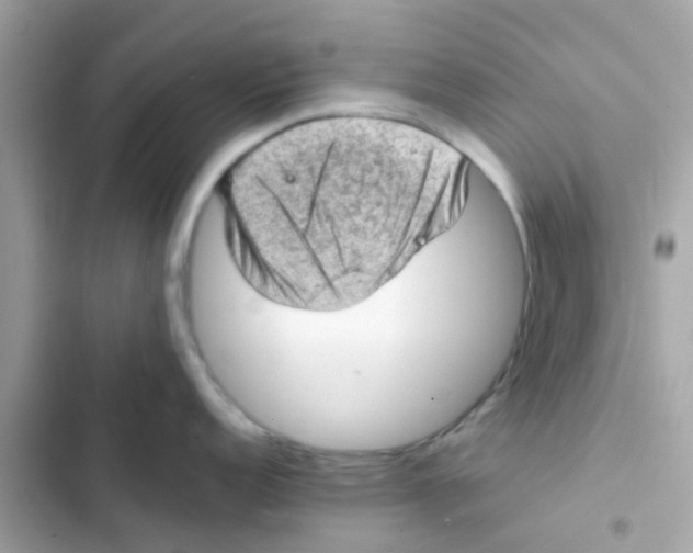 X0000103161152200809192047