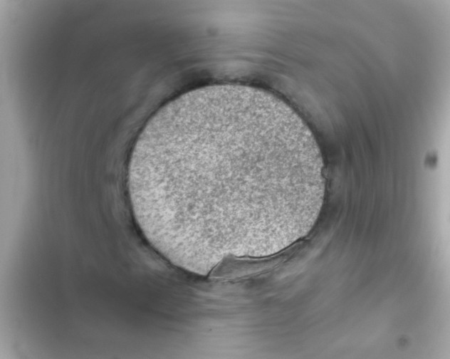 X0000103161153200809192047