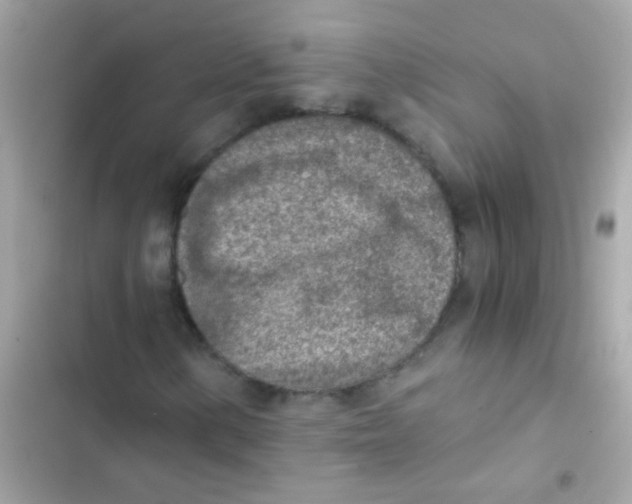 X0000103161154200809192047