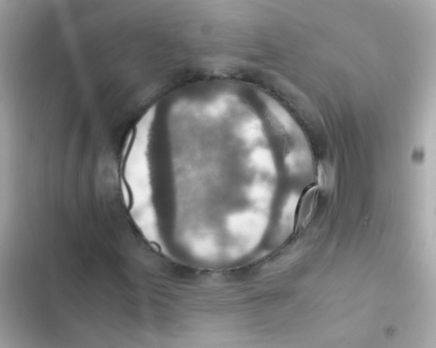 X0000103161155200809192047