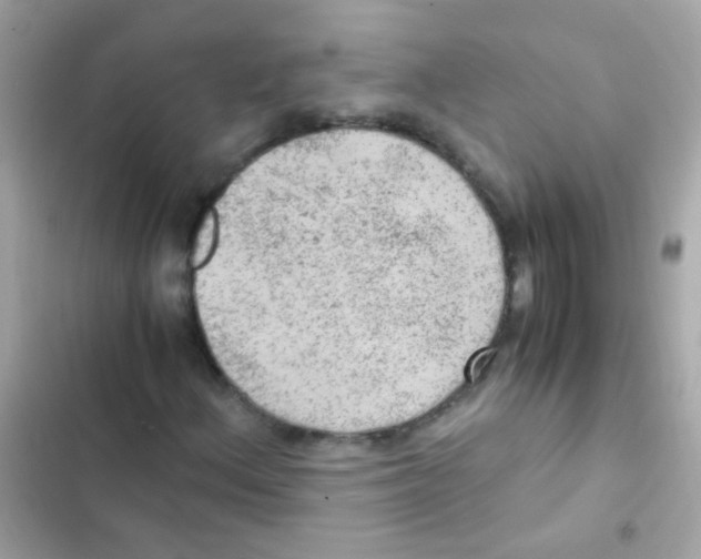 X0000103161156200809192046