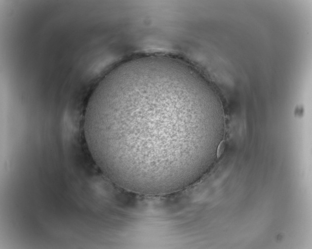 X0000103161157200809192046