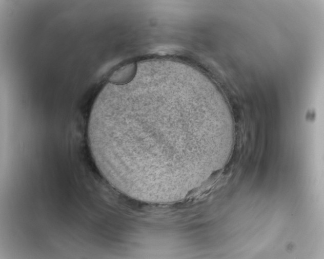 X0000103161158200809192046