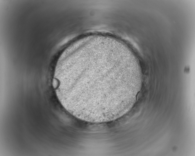 X0000103161159200809192046