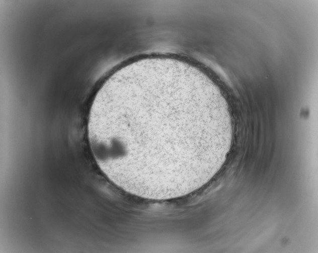 X0000103161160200809192046