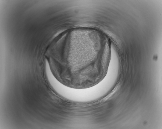 X0000103161161200809192046