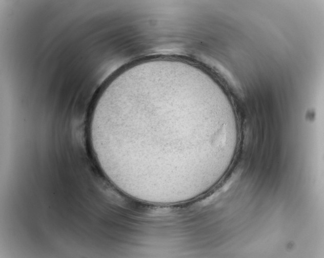 X0000103161162200809192046