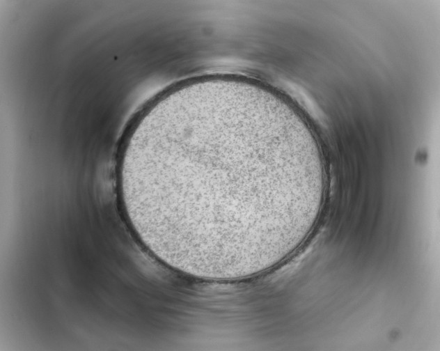 X0000103161164200809192046
