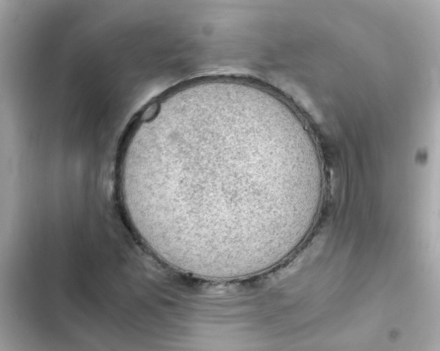 X0000103161165200809192046