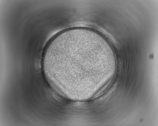 X0000103161166200809192046
