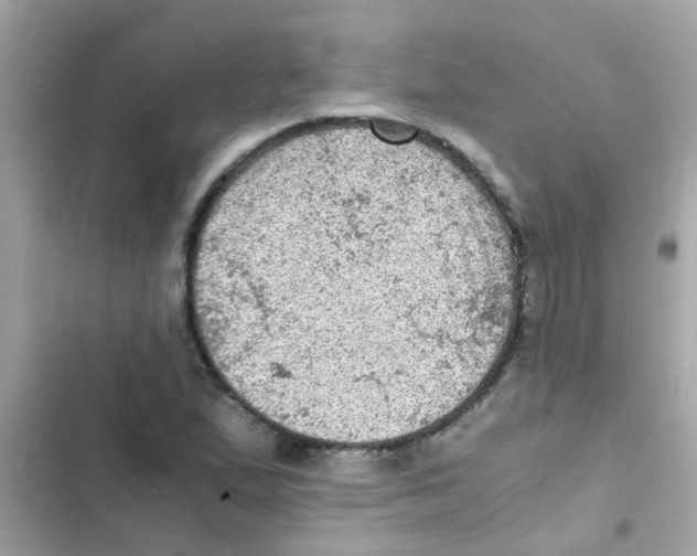 X0000103161167200809192046