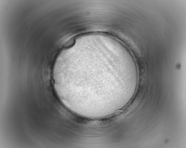 X0000103161169200809192046