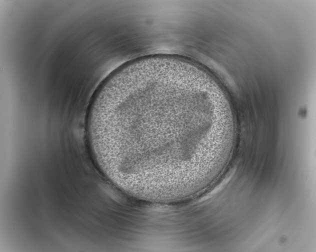 X0000103161170200809192046