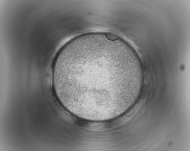 X0000103161171200809192046