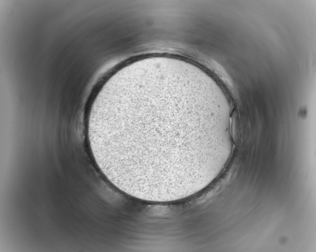 X0000103161172200809192046