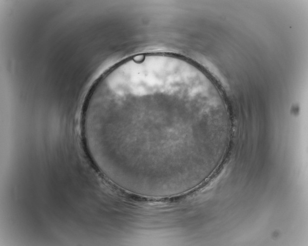 X0000103161173200809192046