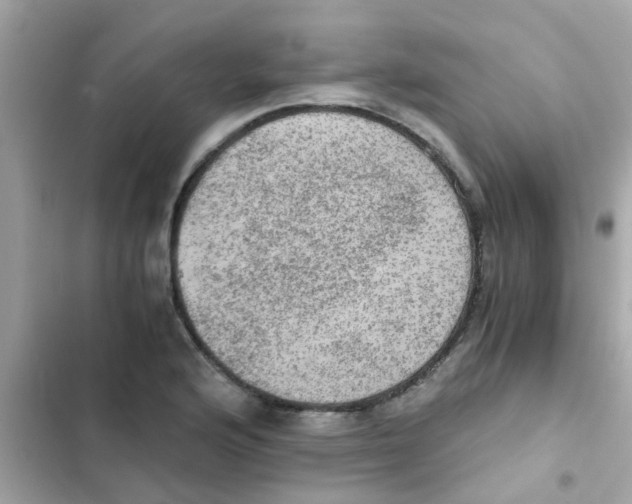 X0000103161176200809192046