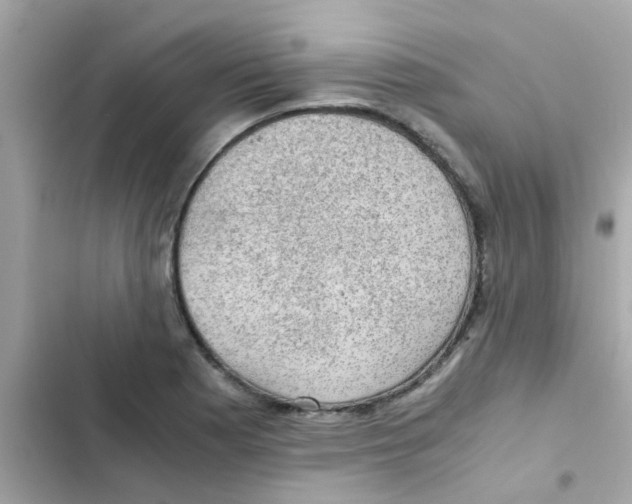 X0000103161177200809192046