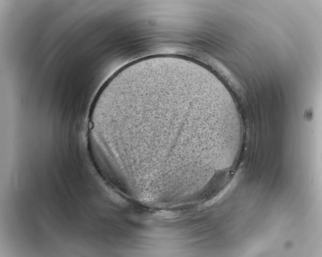 X0000103161178200809192046