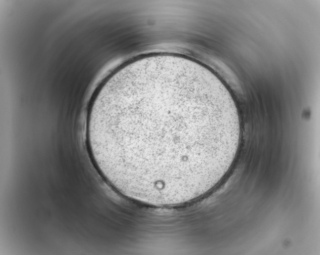 X0000103161180200809192046