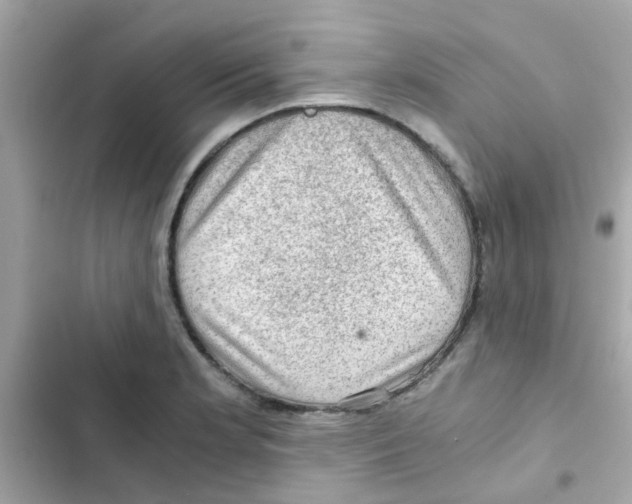 X0000103161181200809192046