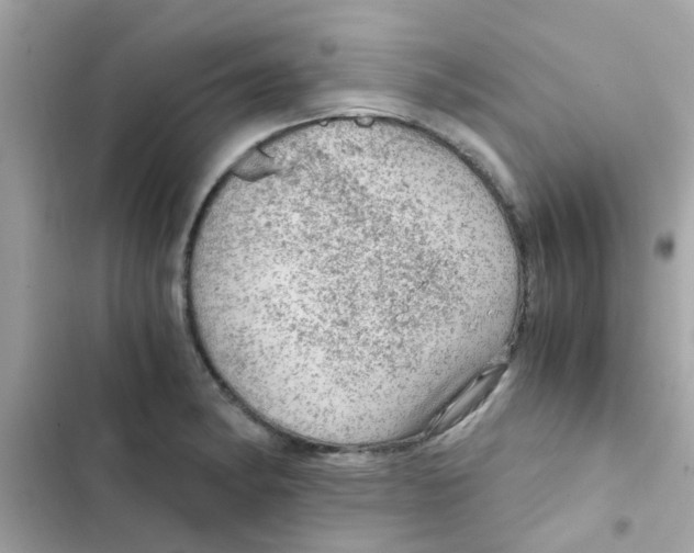 X0000103161182200809192046