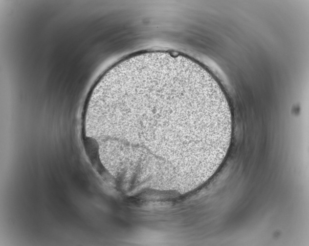 X0000103161183200809192046